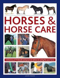 Cover image for Horses & Horse Care