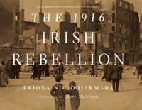 Cover image for The 1916 Irish Rebellion