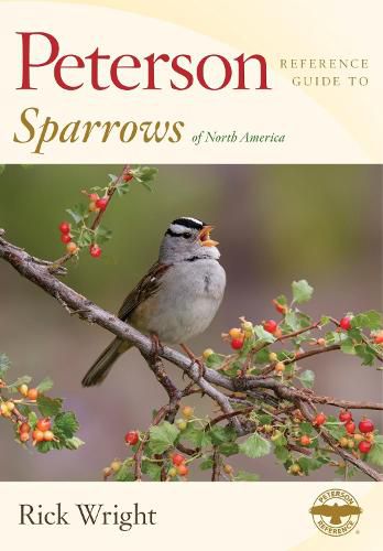 Cover image for Peterson Reference Guide to Sparrows of North America