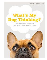 Cover image for What's My Dog Thinking?: Understand Your Dog to Give Them a Happy Life