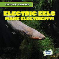 Cover image for Electric Eels Make Electricity!