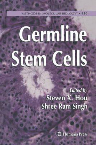 Cover image for Germline Stem Cells