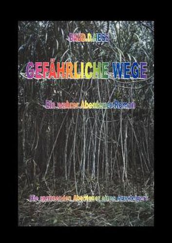 Cover image for Gefahrliche Wege