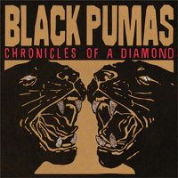 Cover image for Chronicles Of A Diamond 