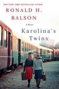 Cover image for Karolina's Twins: A Novel