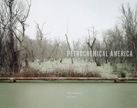 Cover image for Petrochemical America