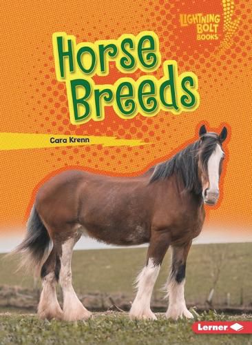 Cover image for Horse Breeds