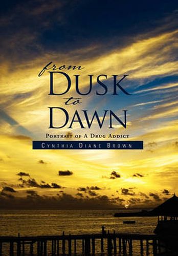 Cover image for From Dusk to Dawn: Portrait of a Drug Addict