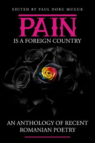 Cover image for Pain Is a Foreign Country