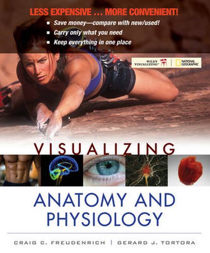 Cover image for Visualizing Anatomy and Physiology, First Edition Binder Ready Version