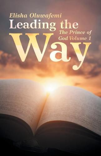 Cover image for Leading the Way