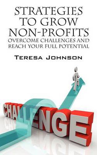 Cover image for Strategies to Grow Non-Profits: Overcome Challenges and Reach Your Full Potential