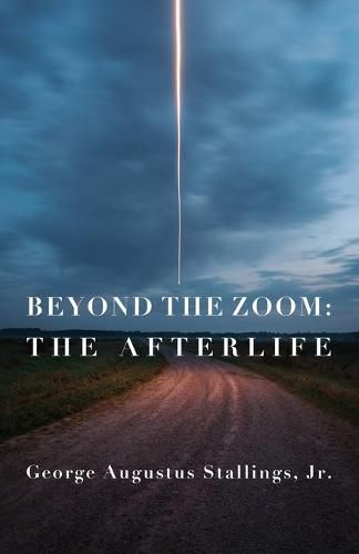 Cover image for Beyond the Zoom