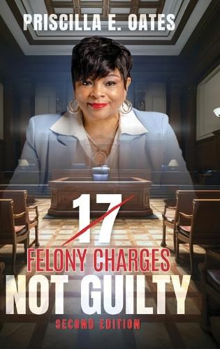 Cover image for 17 Felony Charges