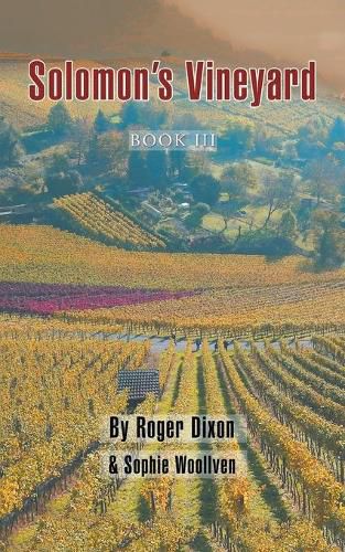 Cover image for Solomon's Vineyard: Book Iii