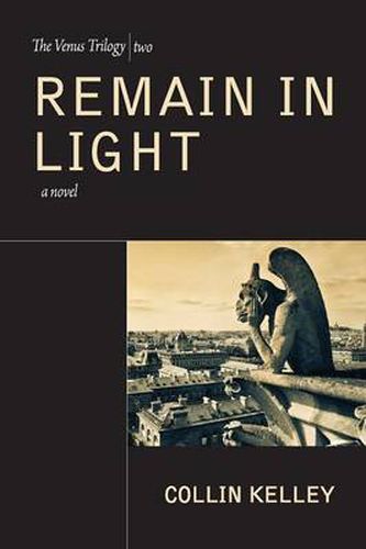 Cover image for Remain in Light