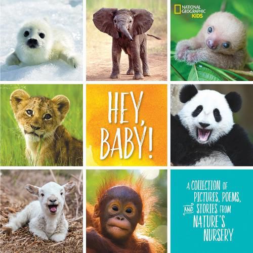 Cover image for Hey, Baby!