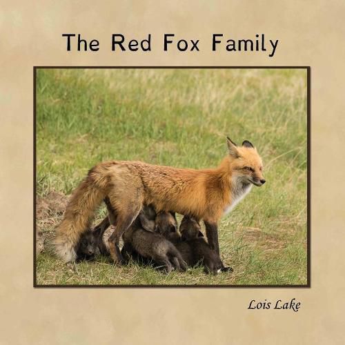 Cover image for The Red Fox Family