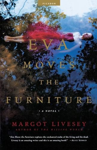 Cover image for EVA Moves the Furniture: A Novel