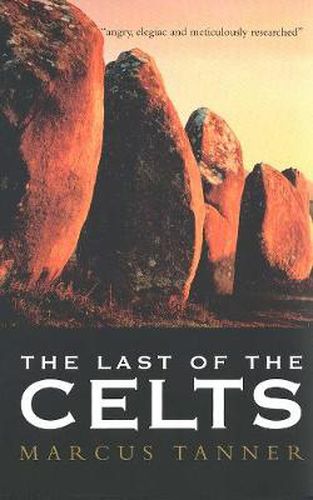 Cover image for The Last of the Celts