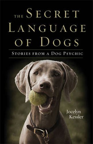 Cover image for Secret Language of Dogs: Stories from a Dog Psychic