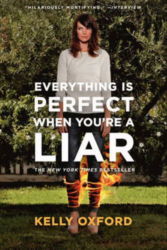 Cover image for Everything is Perfect When You're a Liar