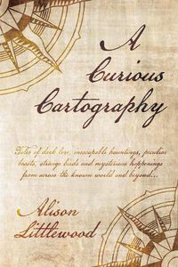 Cover image for A Curious Cartography