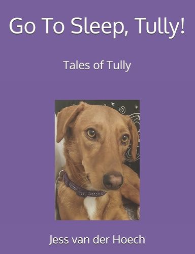 Go To Sleep, Tully!