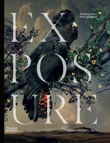Cover image for Exposure
