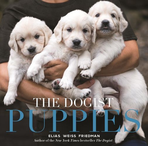 Cover image for The The Dogist Puppies