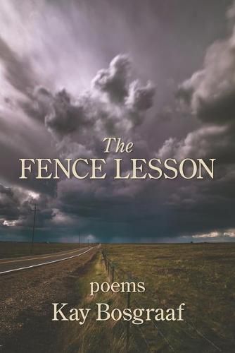 Cover image for The Fence Lesson