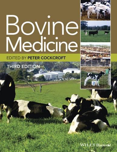 Cover image for Bovine Medicine, 3e