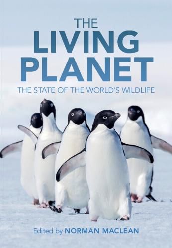 Cover image for The Living Planet