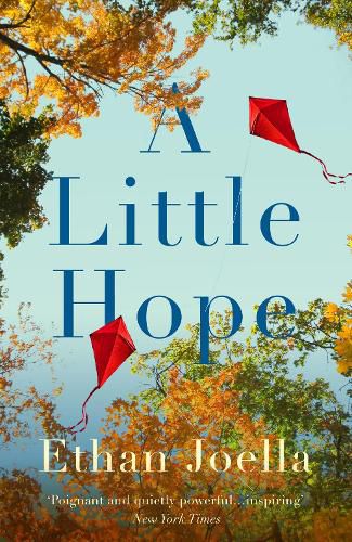 Cover image for A Little Hope