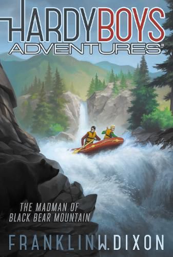 Cover image for The Madman of Black Bear Mountain