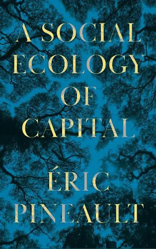 Cover image for A Social Ecology of Capital