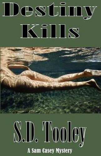 Cover image for Destiny Kills