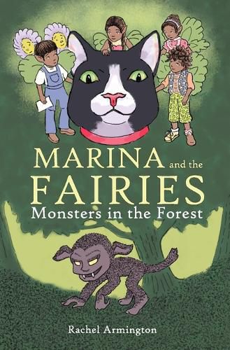 Cover image for Marina and the Fairies