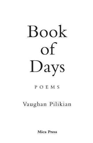 Cover image for Book of Days