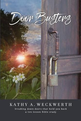 Cover image for Door Busters