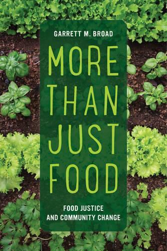 Cover image for More Than Just Food: Food Justice and Community Change