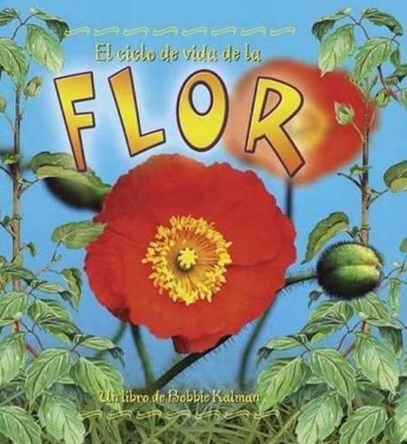 Cover image for El Ciclo de Vida de La Flor