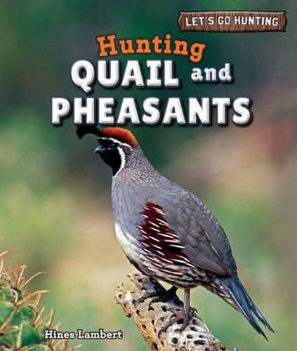 Cover image for Hunting Quail and Pheasants