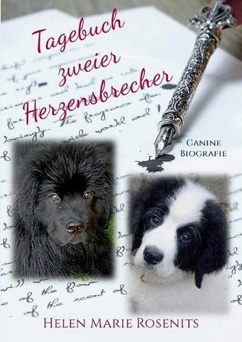 Cover image for Tagebuch zweier Herzensbrecher