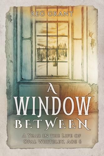 Cover image for A Window Between