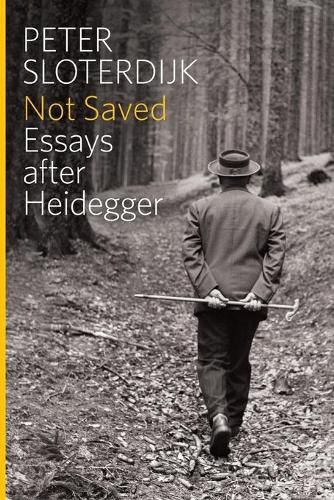 Not Saved: Essays After Heidegger