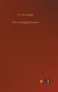 Cover image for The Young Surveyor