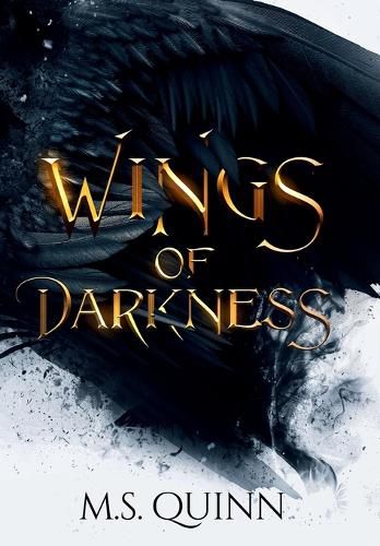 Cover image for Wings of Darkness