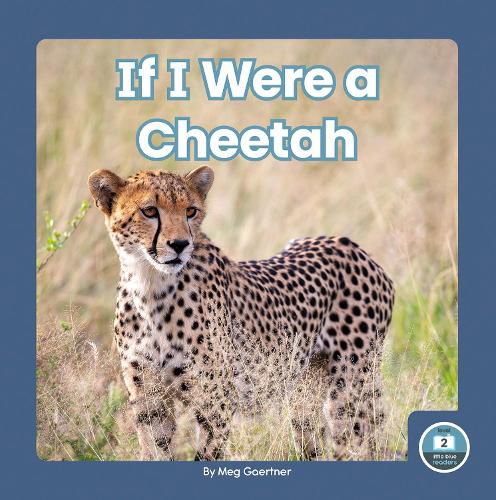 Cover image for If I Were a Cheetah