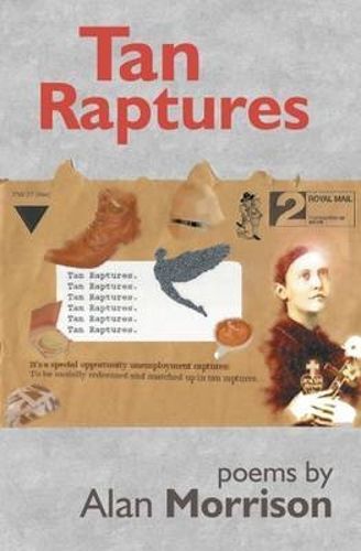 Cover image for Tan Raptures